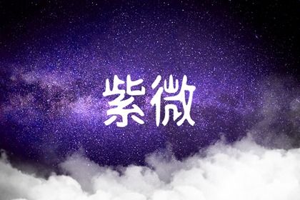 紫薇斗数分析事业发展 紫微斗数如何看事业等级