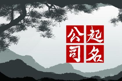 带有寓意的公司名字 专业标准的公司名字