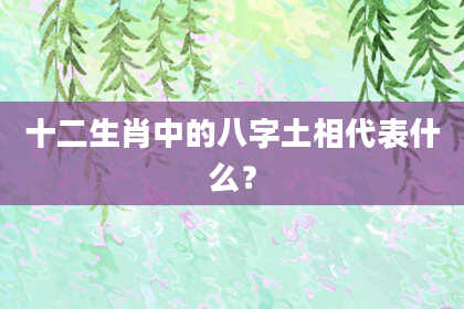 十二生肖中的八字土相代表什么？