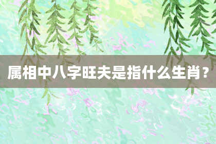 属相中八字旺夫是指什么生肖？