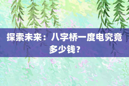 探索未来：八字桥一度电究竟多少钱？